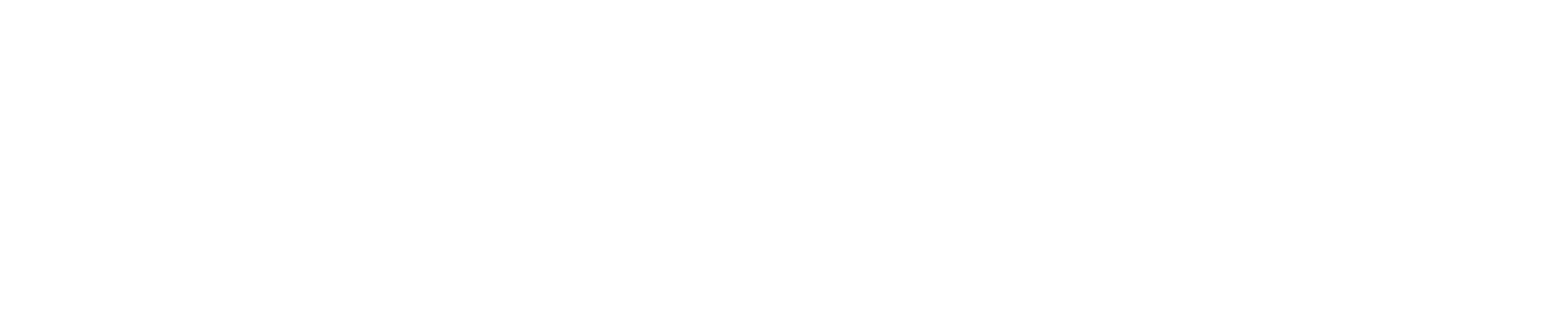 White Logo ProQuantic