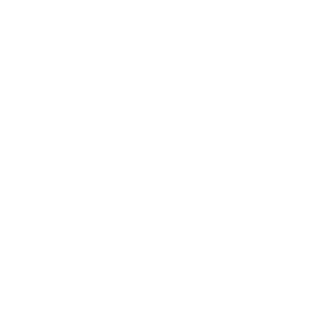 GenAI Search Optimization service icon